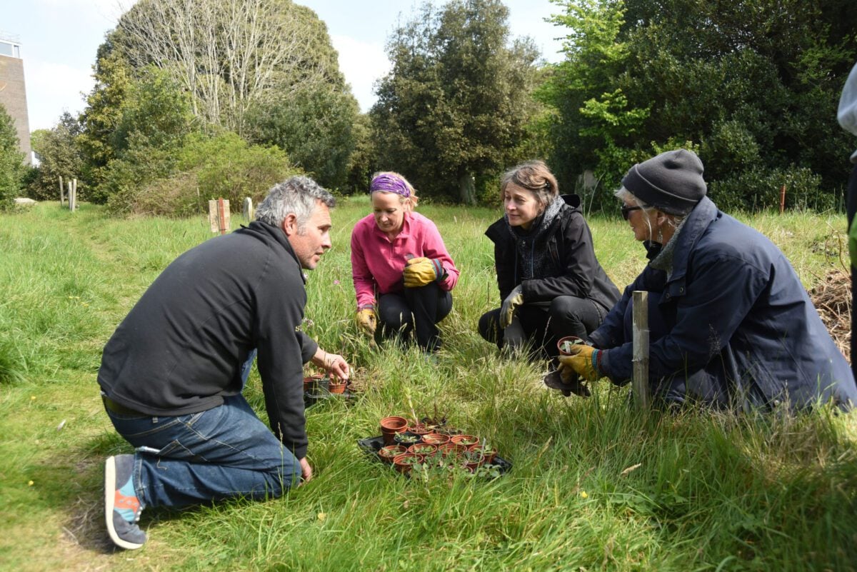 Huw Morgan and volunteers at Broadwater Cemetery Miles Davies