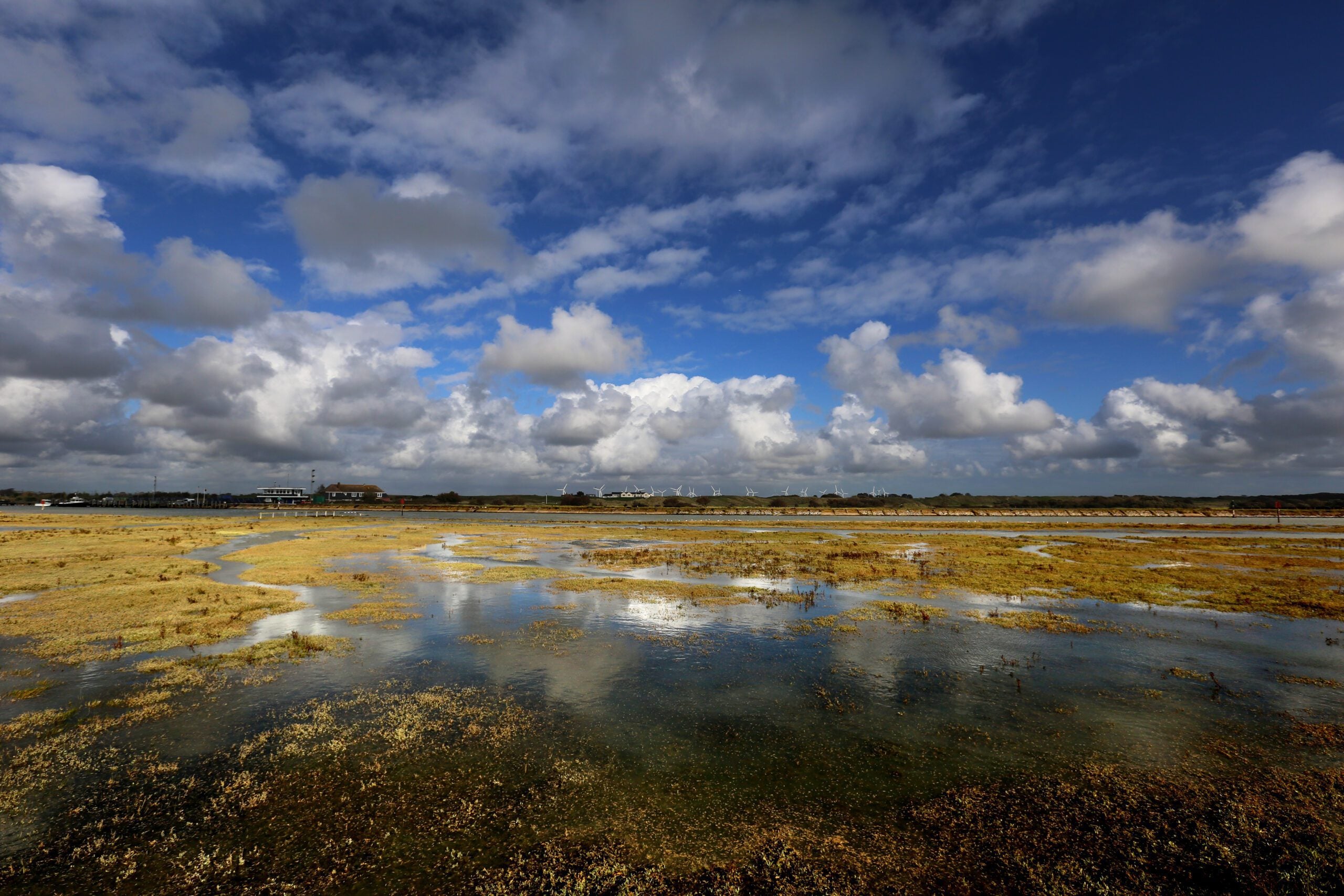 Rye Harbour Nature Reserve, from Sussex Wildlife Trust