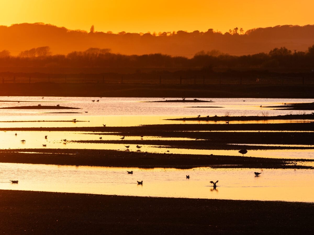 Sunset RyeHarbour MarkHeathcote