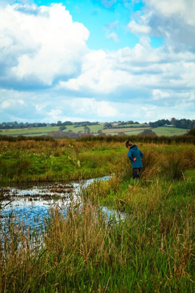 Pevensey Levels Project15 Kai Hilton