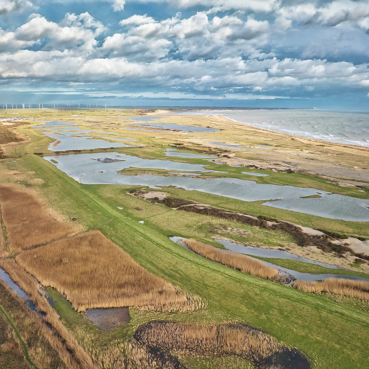 Aerial view of water and saltmarsh landscape beside sea under blue skies dotted with clouds