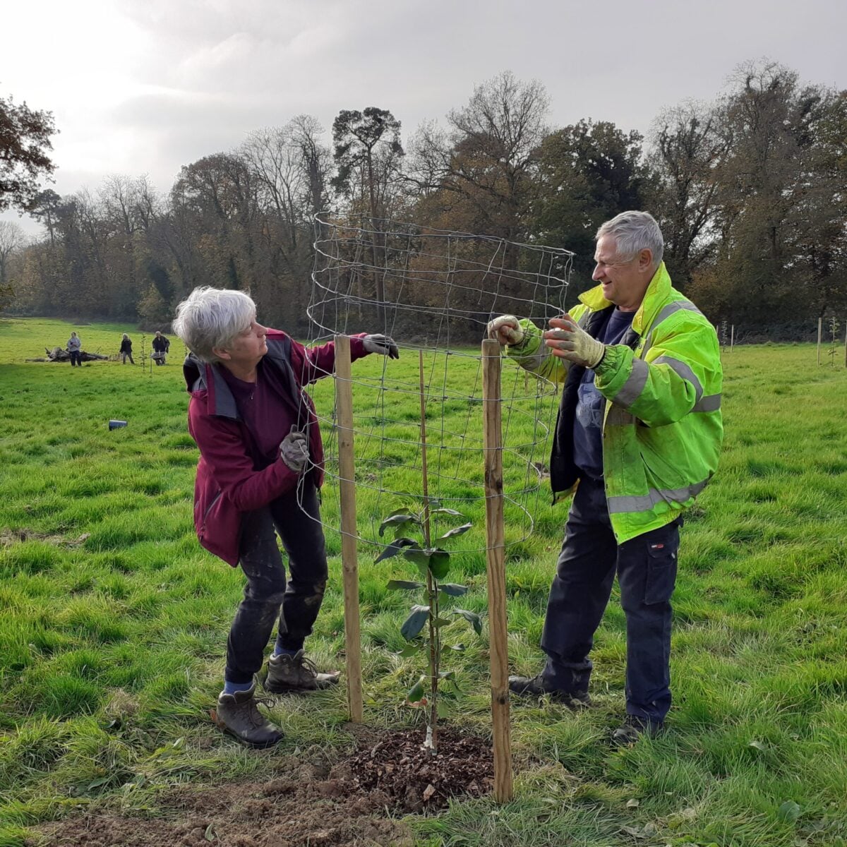2024 Mayes Park orchard planting