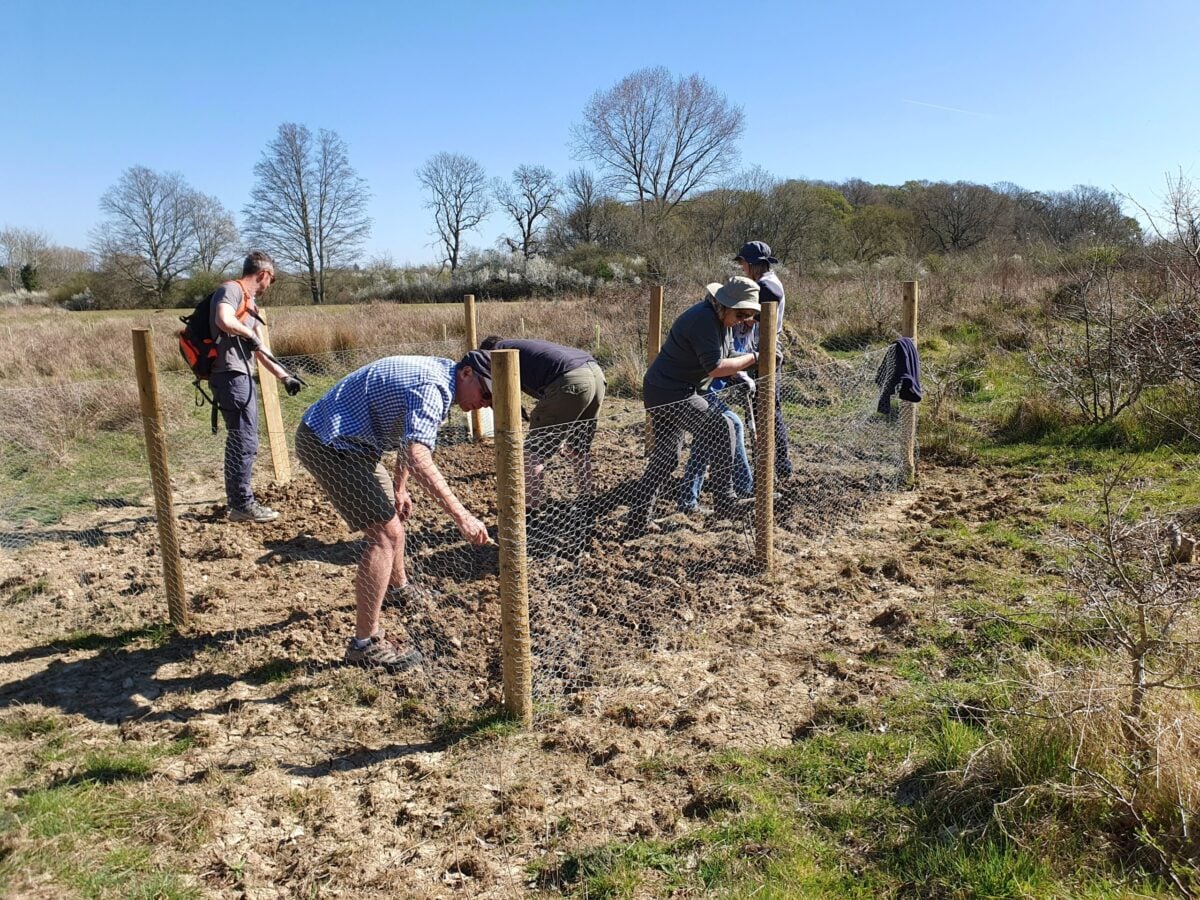2025 Fair Oak Farm plug planting