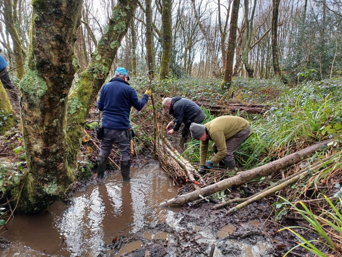 2025 Henfield Common leaky dams