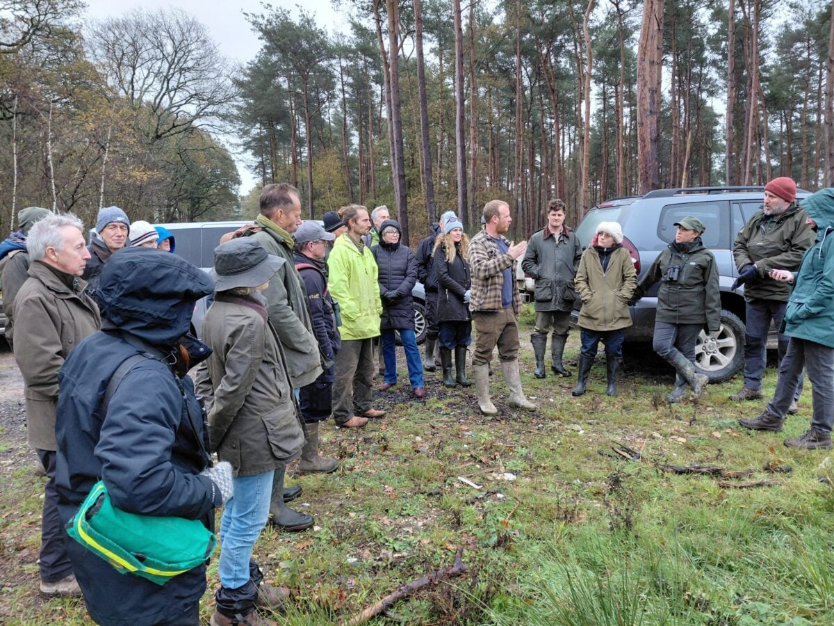 2025 Wilder Woodland training