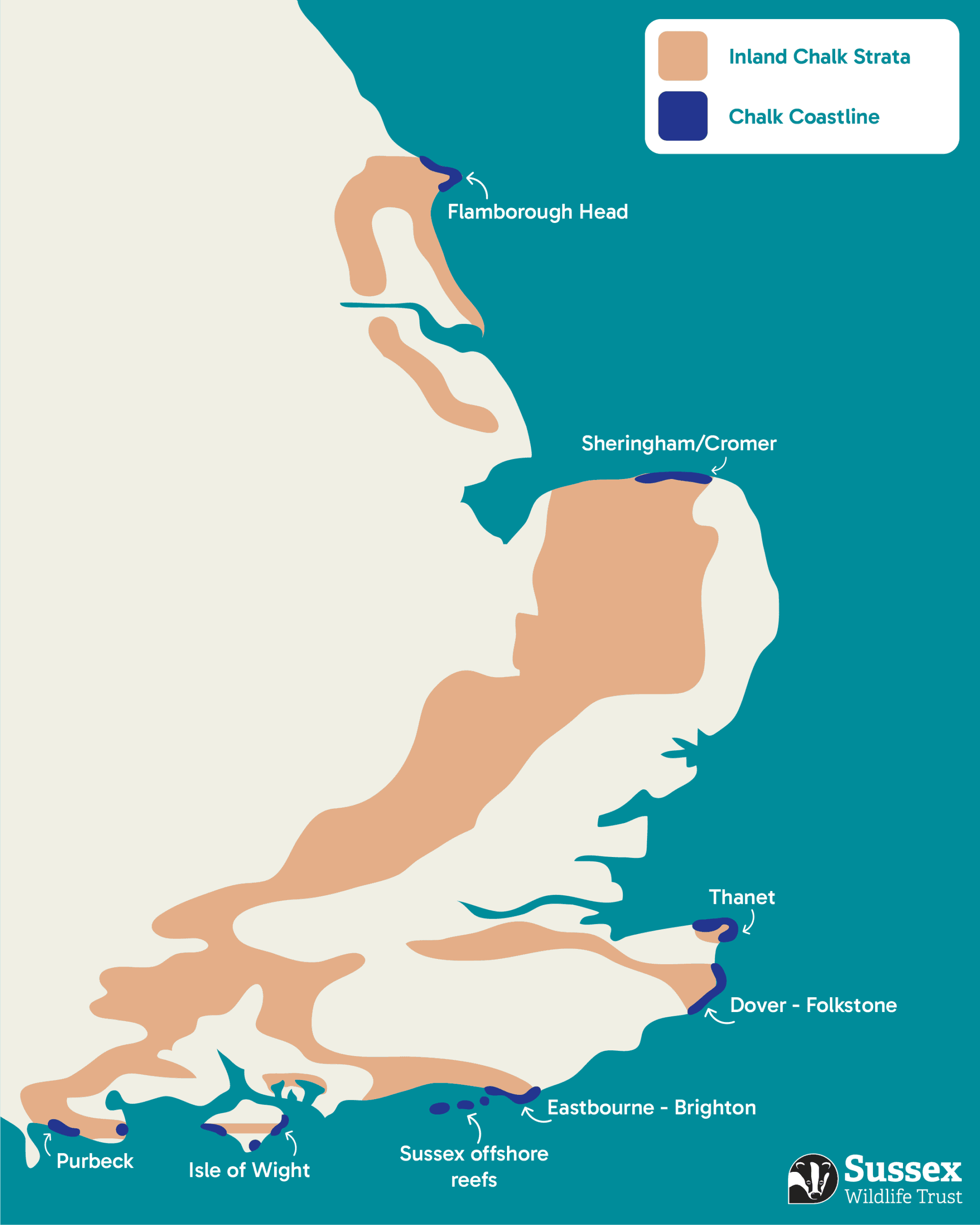 Chalk Reef Infographic 1