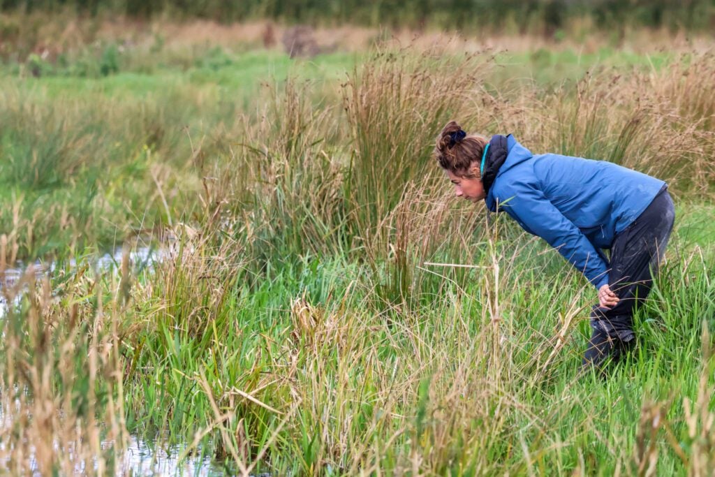 Woman looks into a ditch