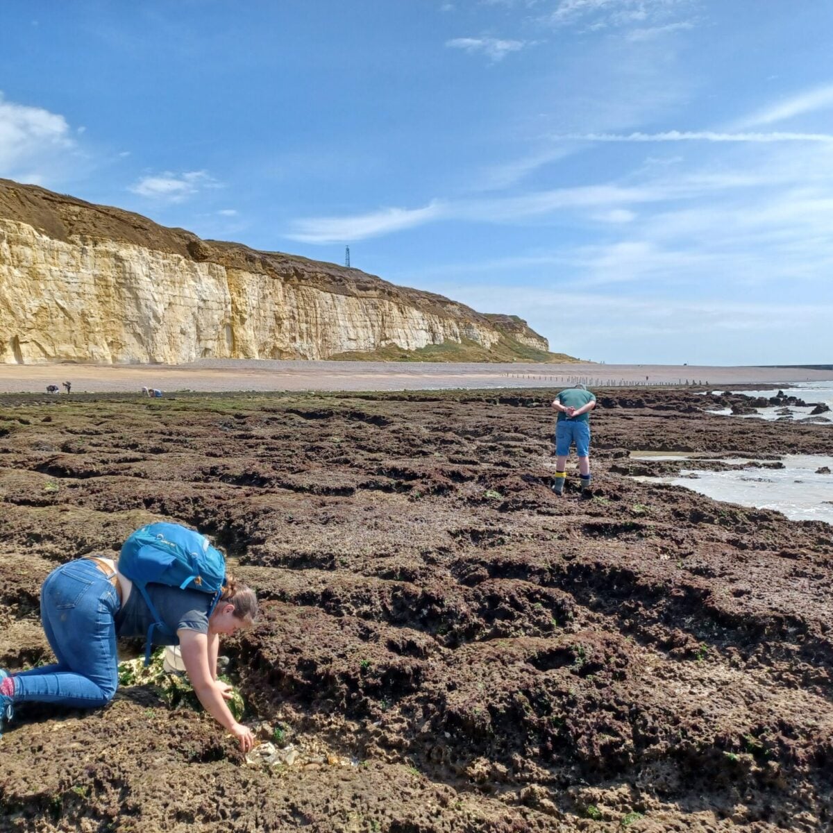 Clare Blencowe looking for intertidal species Ella Garrud