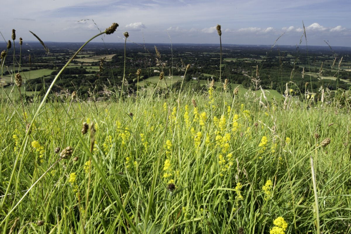 Ditchling Beacon Nigel Symington