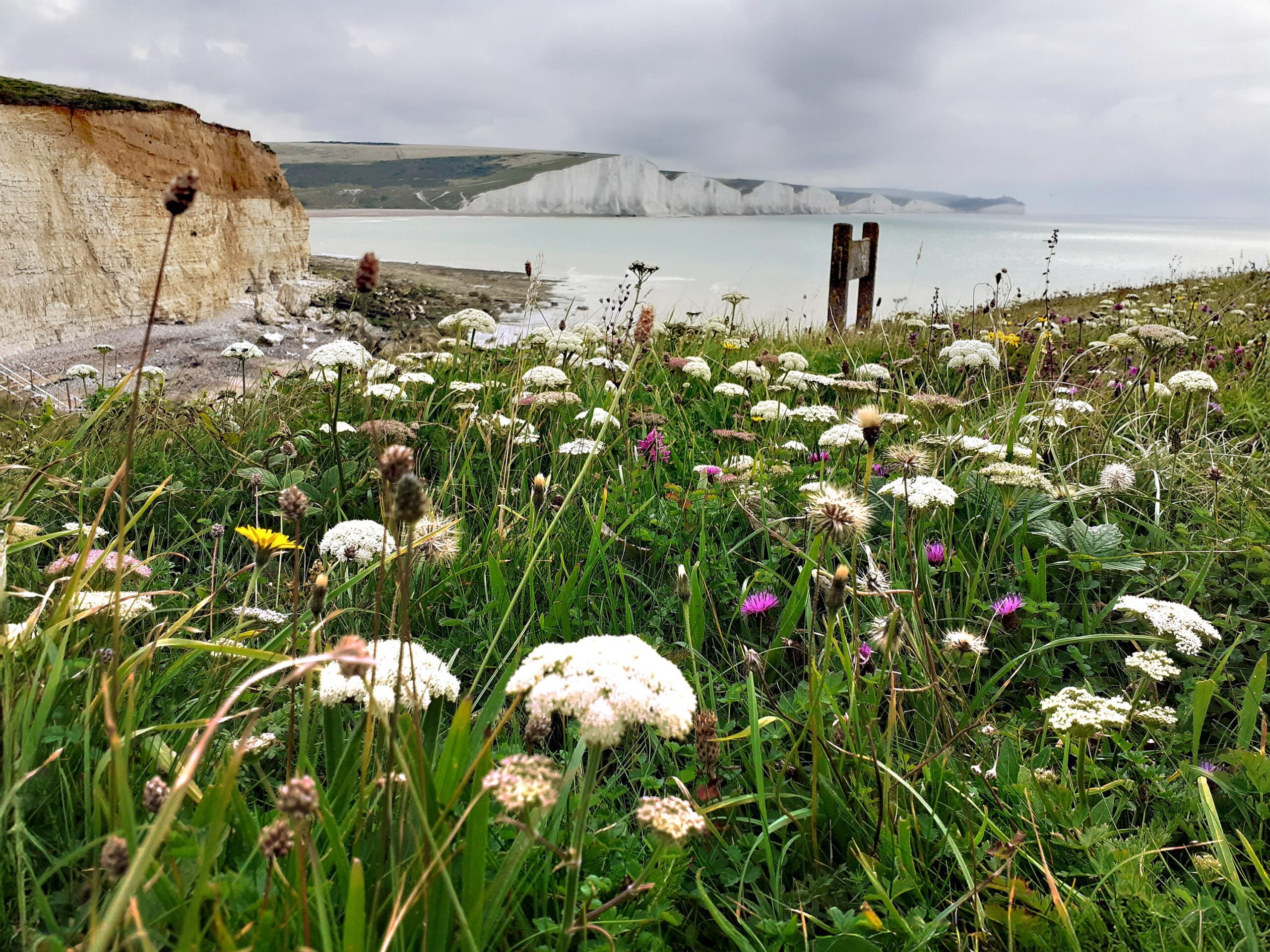 Final Seaford Head Sarah Quantrill 6