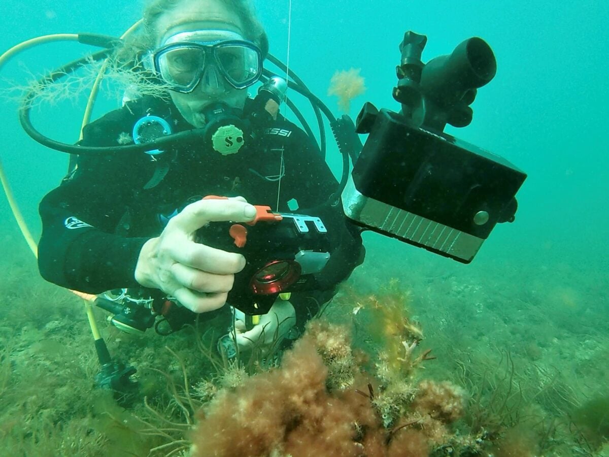 Lindsey Scott Seasearch Diver 1