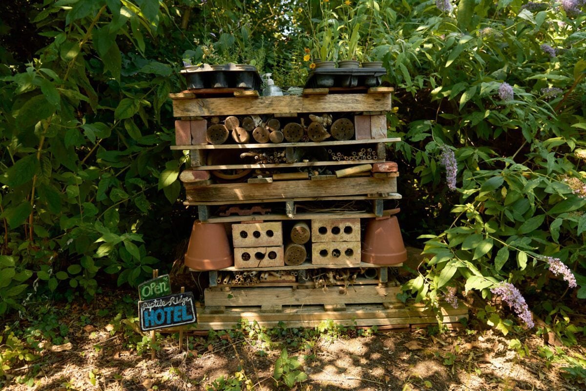 Reserve Deneway bug hotel