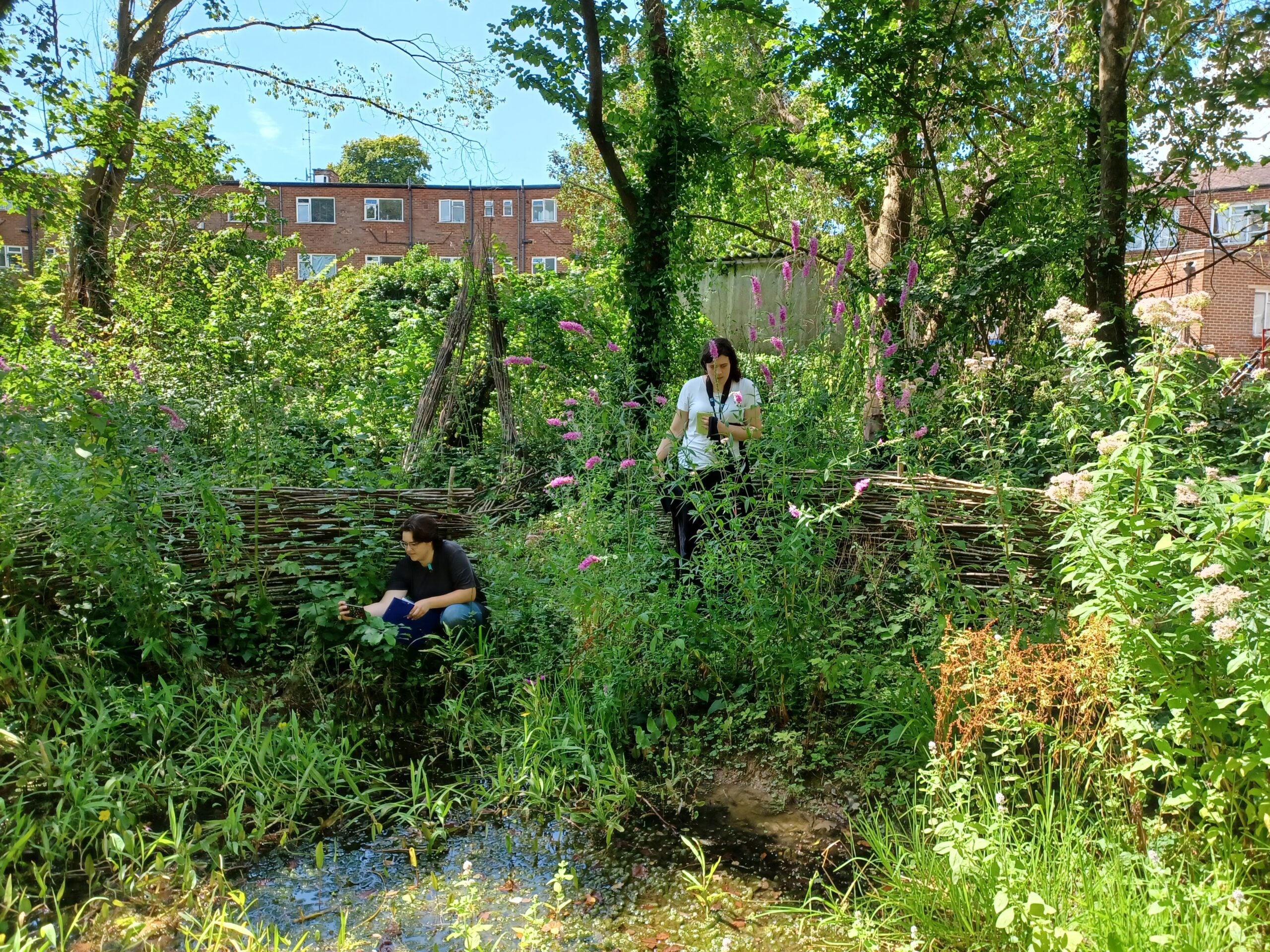 Reserve Deneway pond dipping