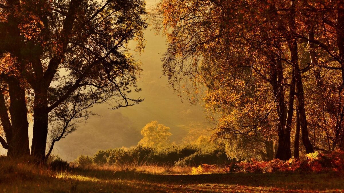 Reserve Old Lodge autumn