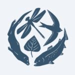 Wilder Ouse logo no text