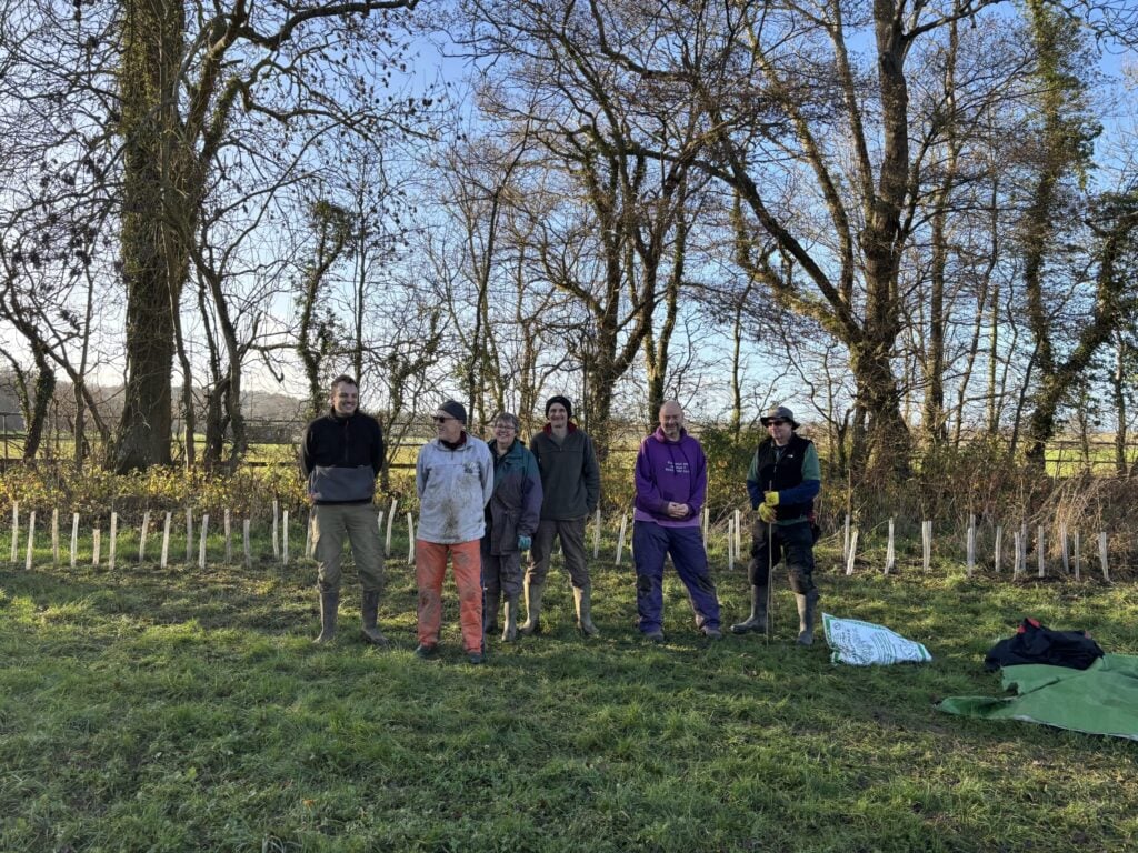 Six people standing in grassy field looking at camera with bare trees and blue sky in background 