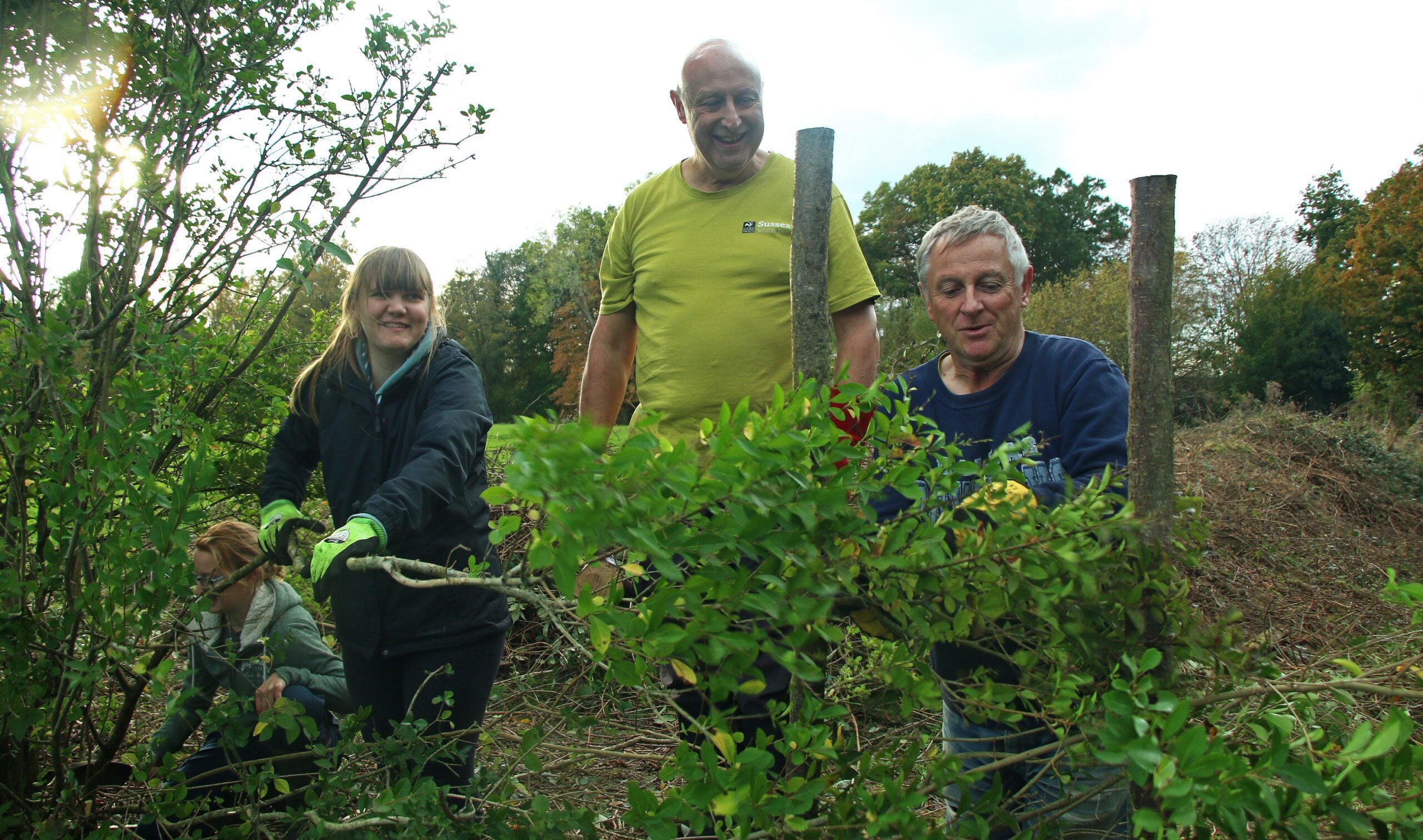 Volunteers Wilder Horsham District hedge laying Mayes Park Sam Roberts 3