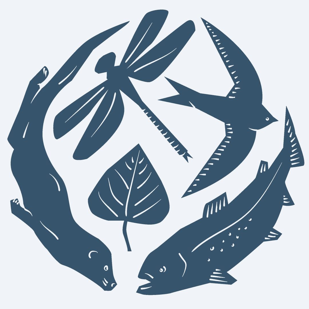 WO primary logo chalkbg