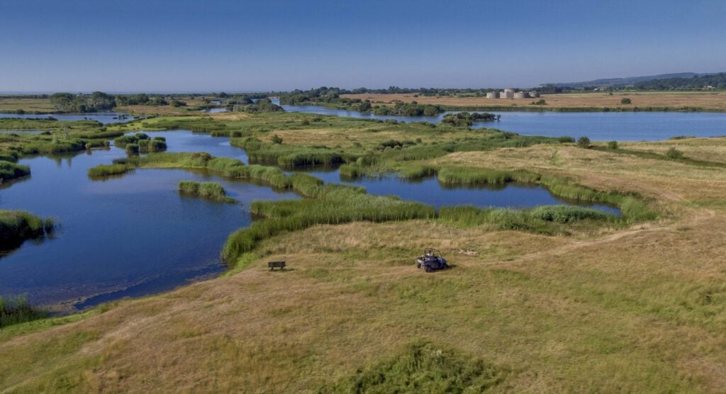 Wetlands Barry Yates