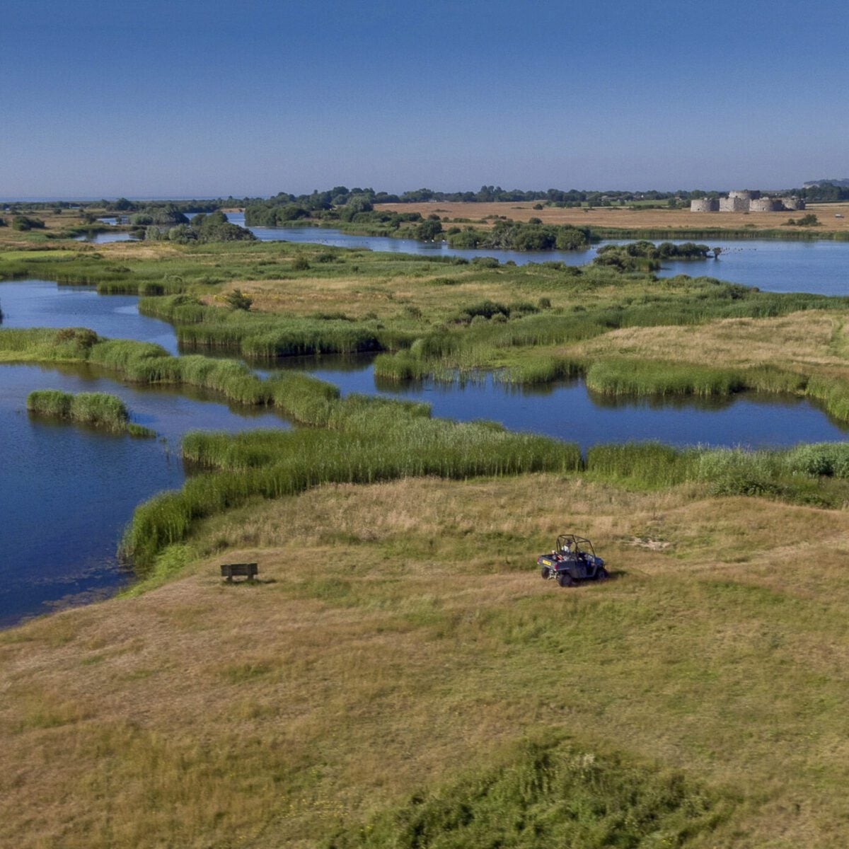 Wetlands Barry Yates