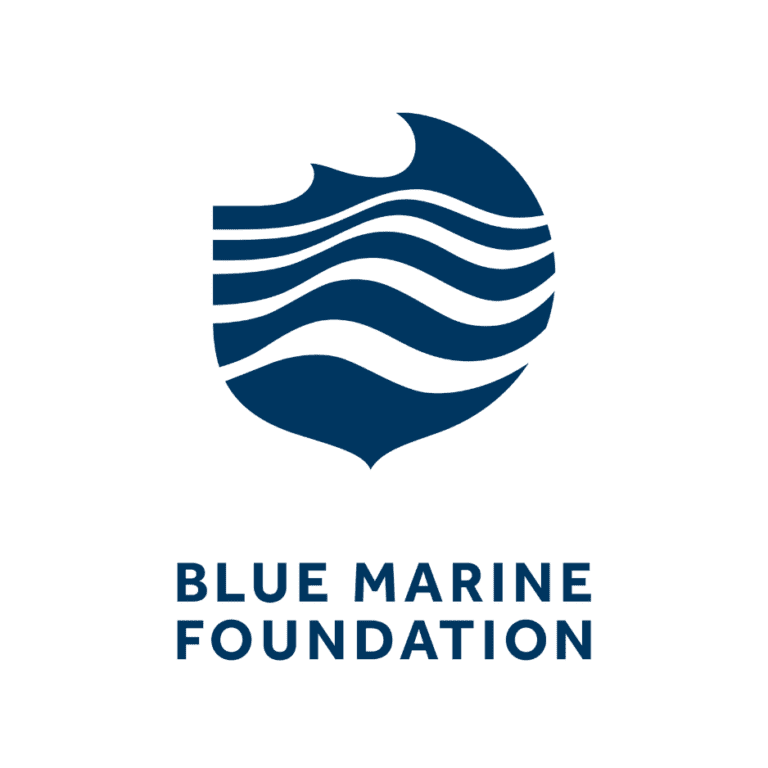 bluemarinefoundation.logo 768x768 1