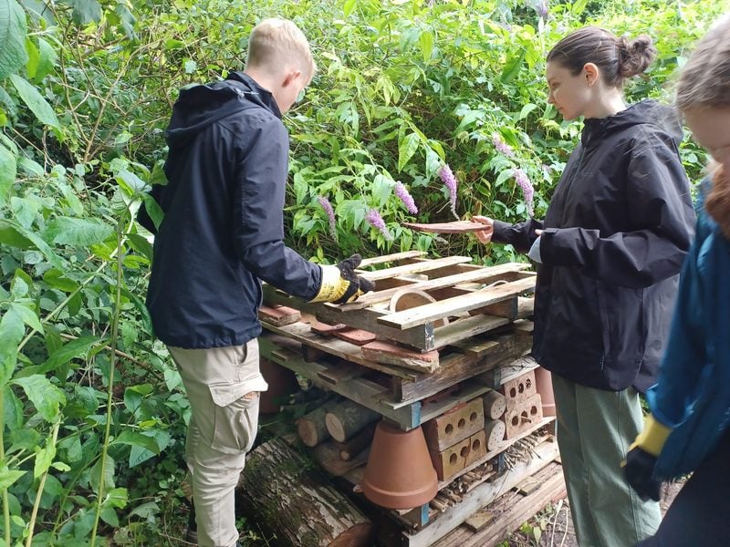 bug hotel building c sophie atkinson