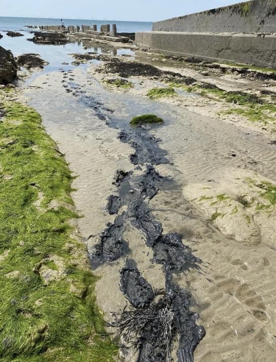 Black sediment smothering Beachy Head West Black sediment smothering Beachy Head West
