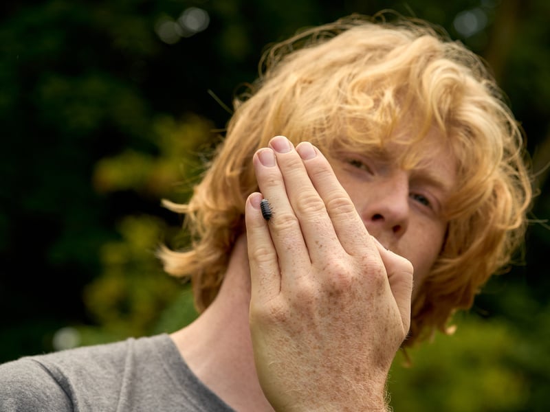 Person holding up hand near camera showing small bug