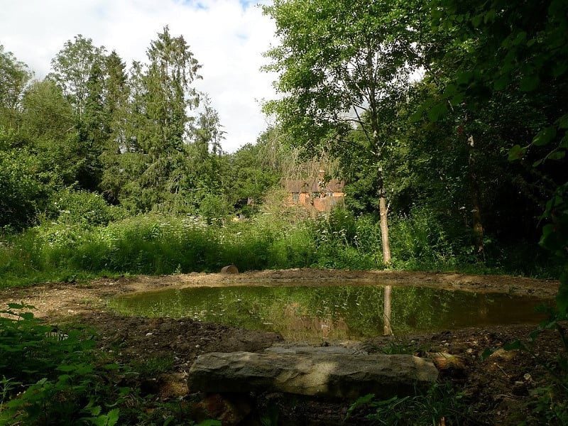 finished pond w800h600