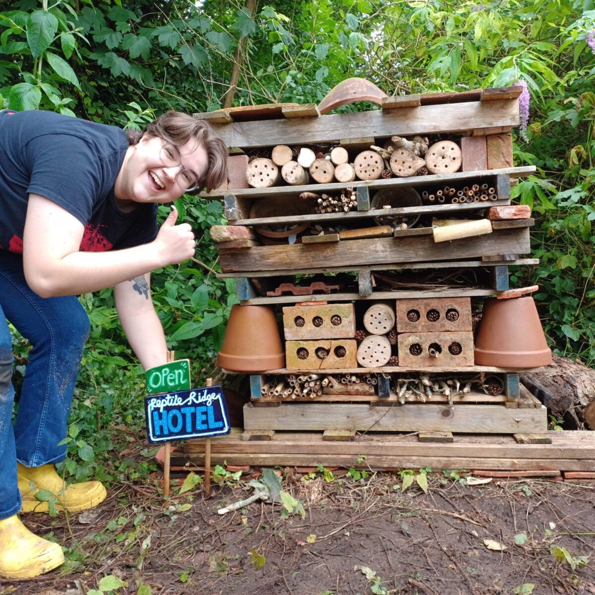 iniatives Deneway Wilder Future Bug Hotel Sophie Atkinson