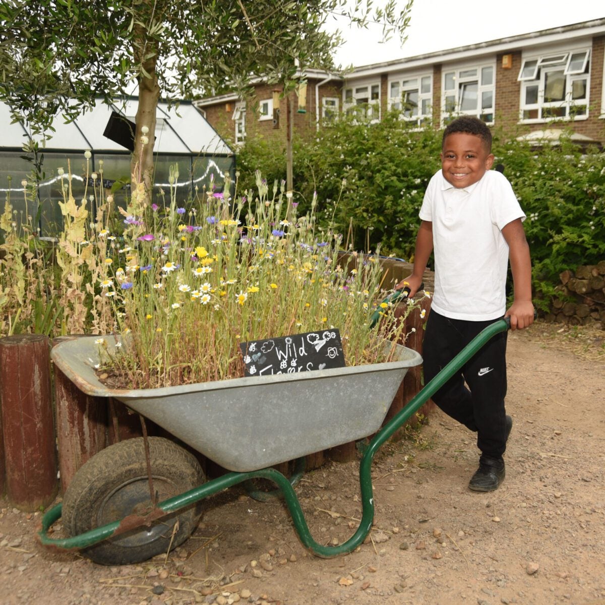 initatives City of Meadows Mile Oak School Miles Davis