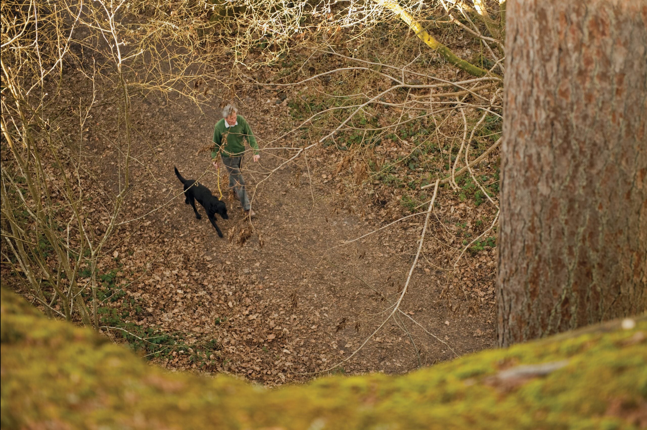 reserve Eridge Rocks dogwalking Nigel Symington