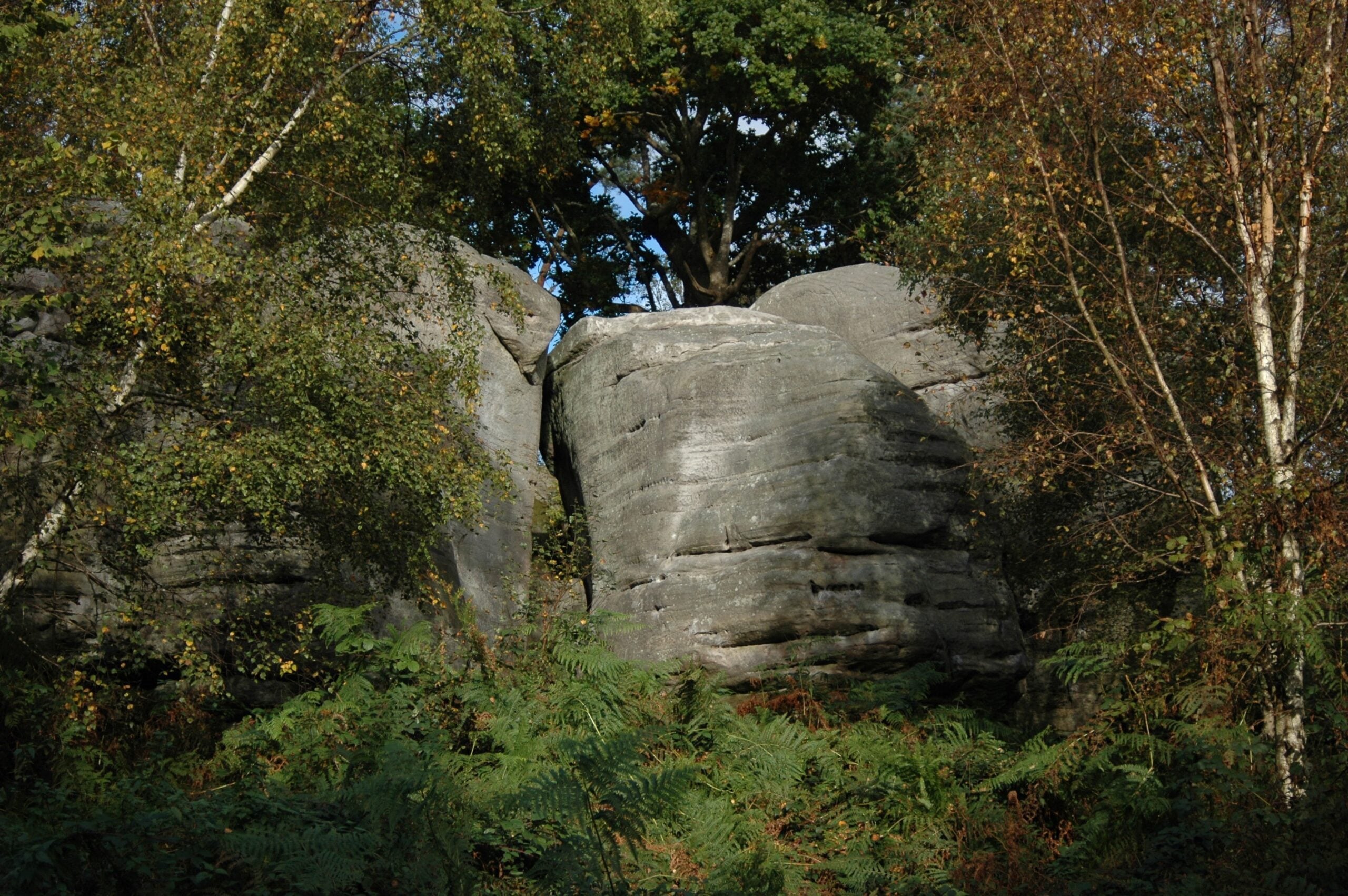 reserve Eridge Rocks outcrop Sam Roberts 1