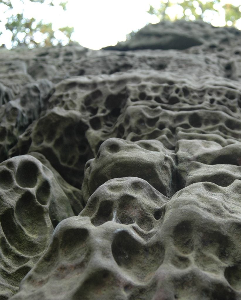 reserve Eridge Rocks outcrop Sam Roberts