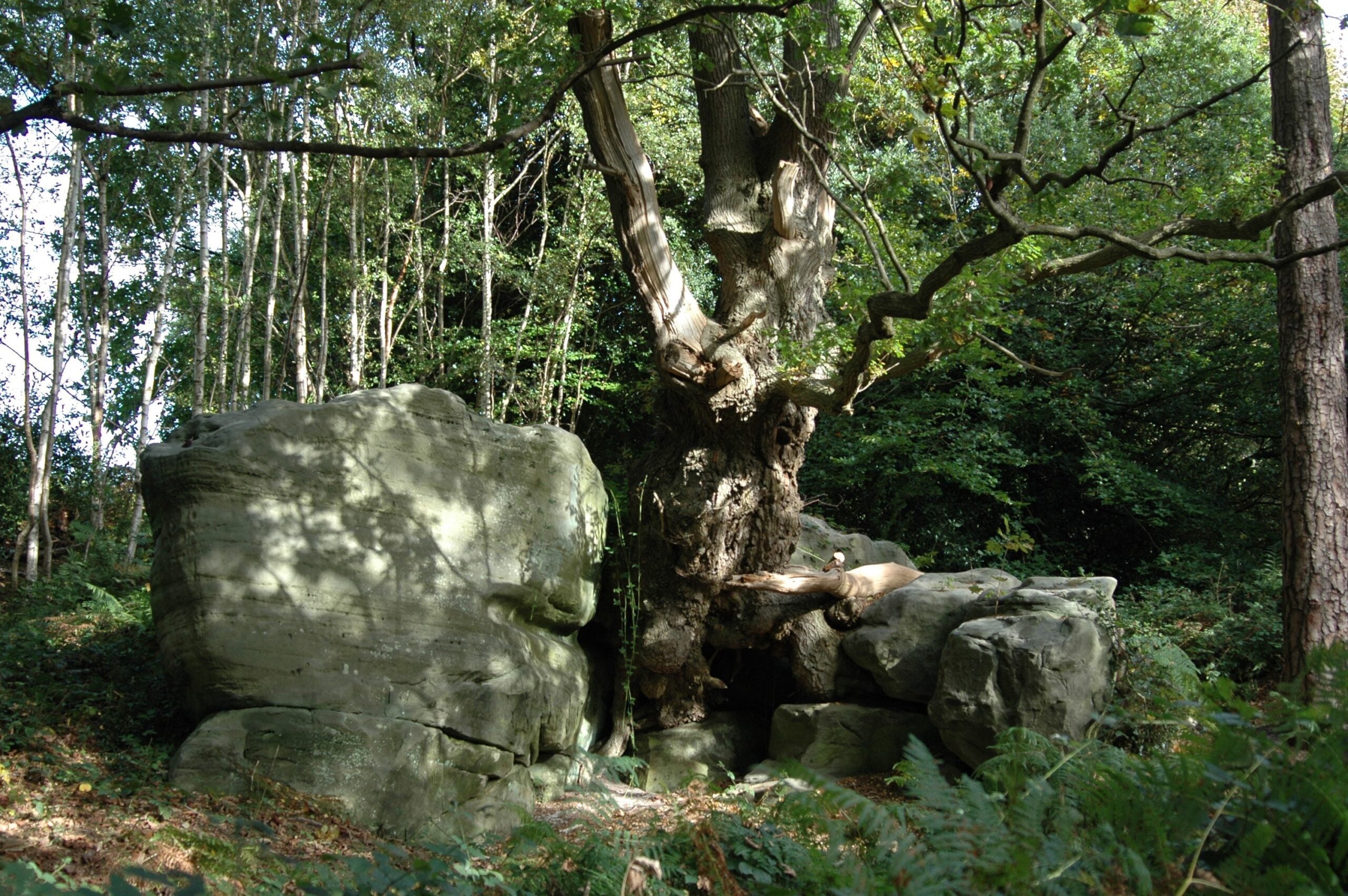 reserve Eridge Rocks rock Sam Roberts