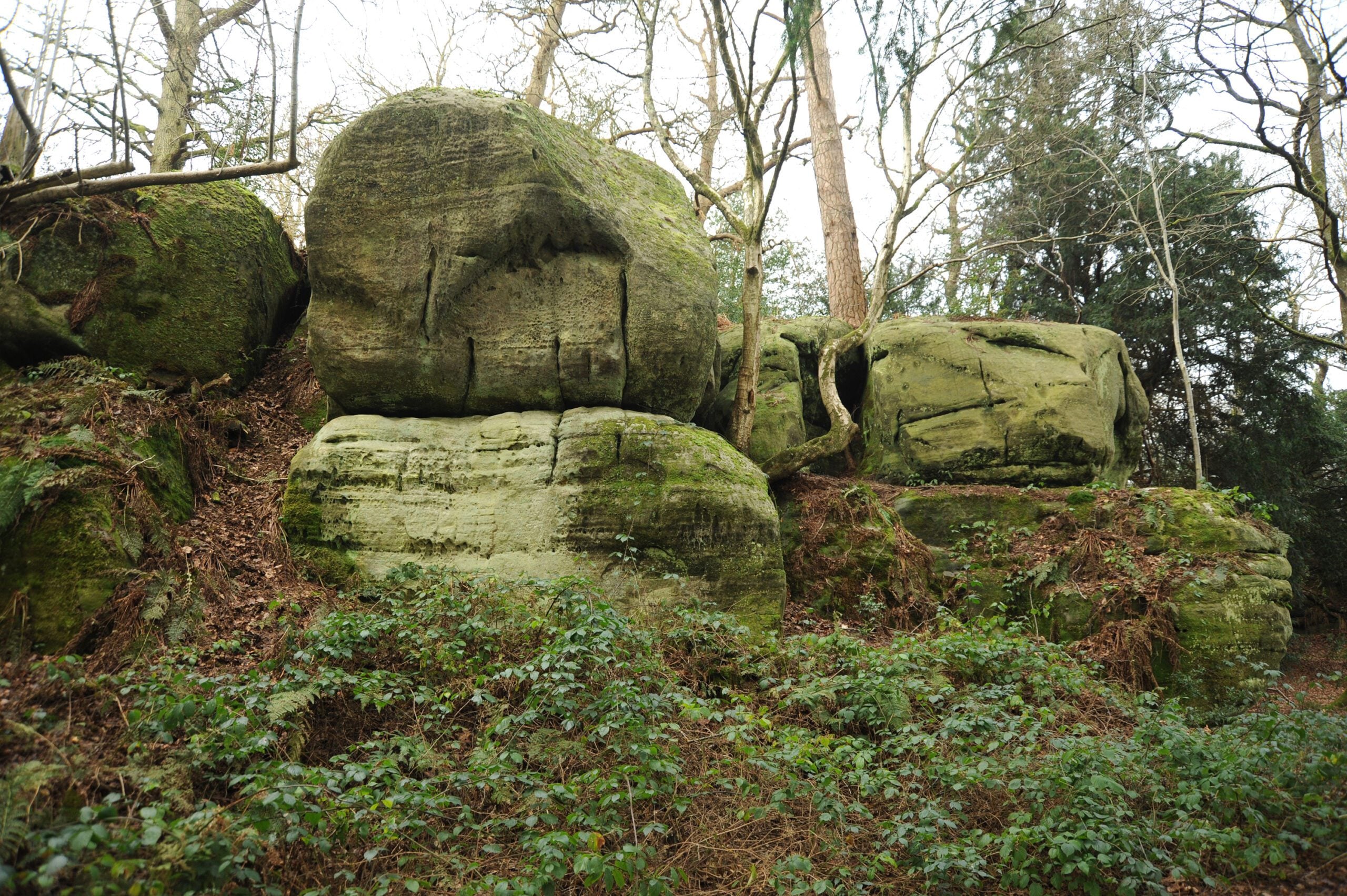 reserve Eridge Rocks sandstone Miles Davies