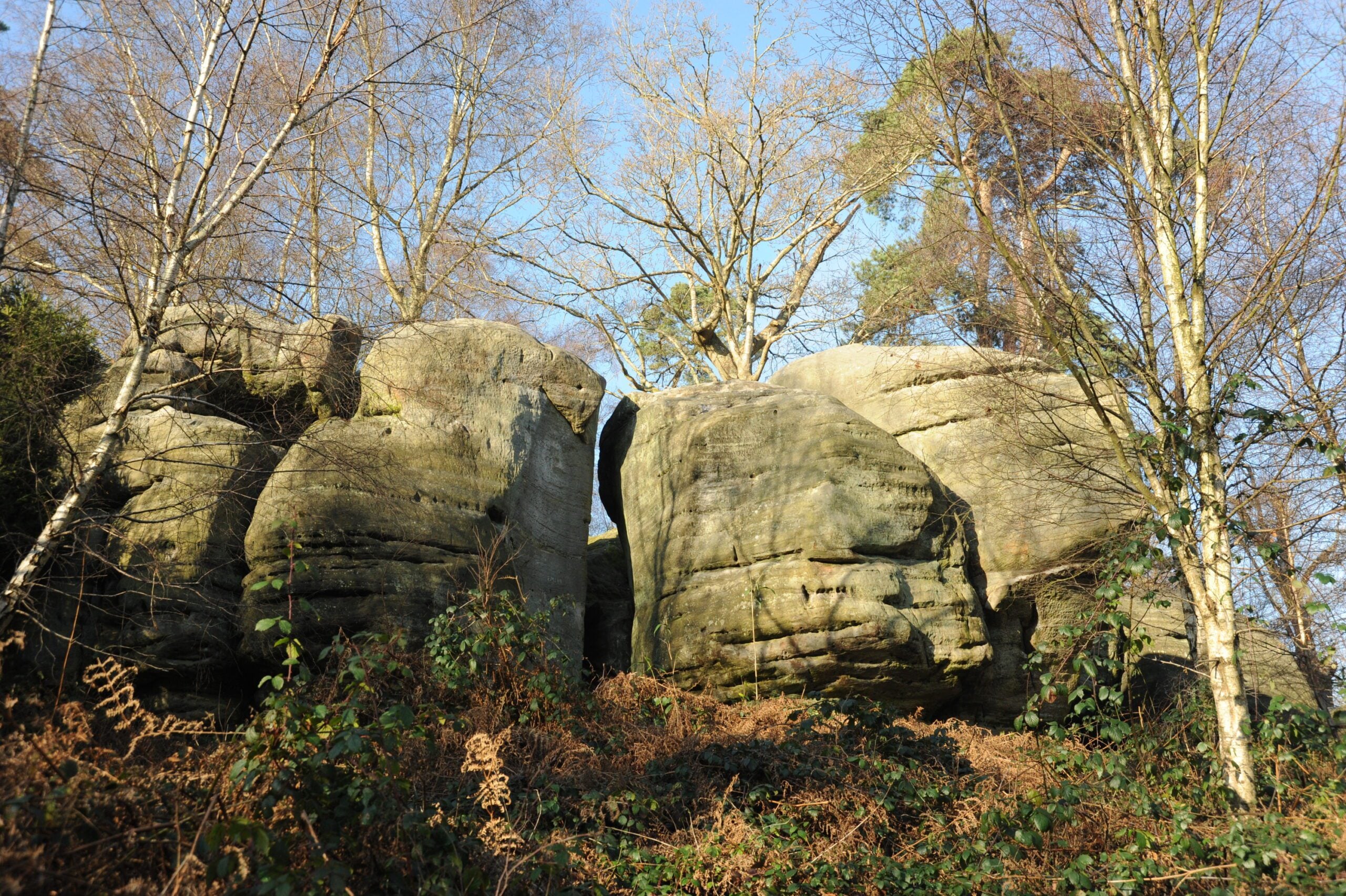 reserve Eridge Rocks sandstone outcrop Miles Davies