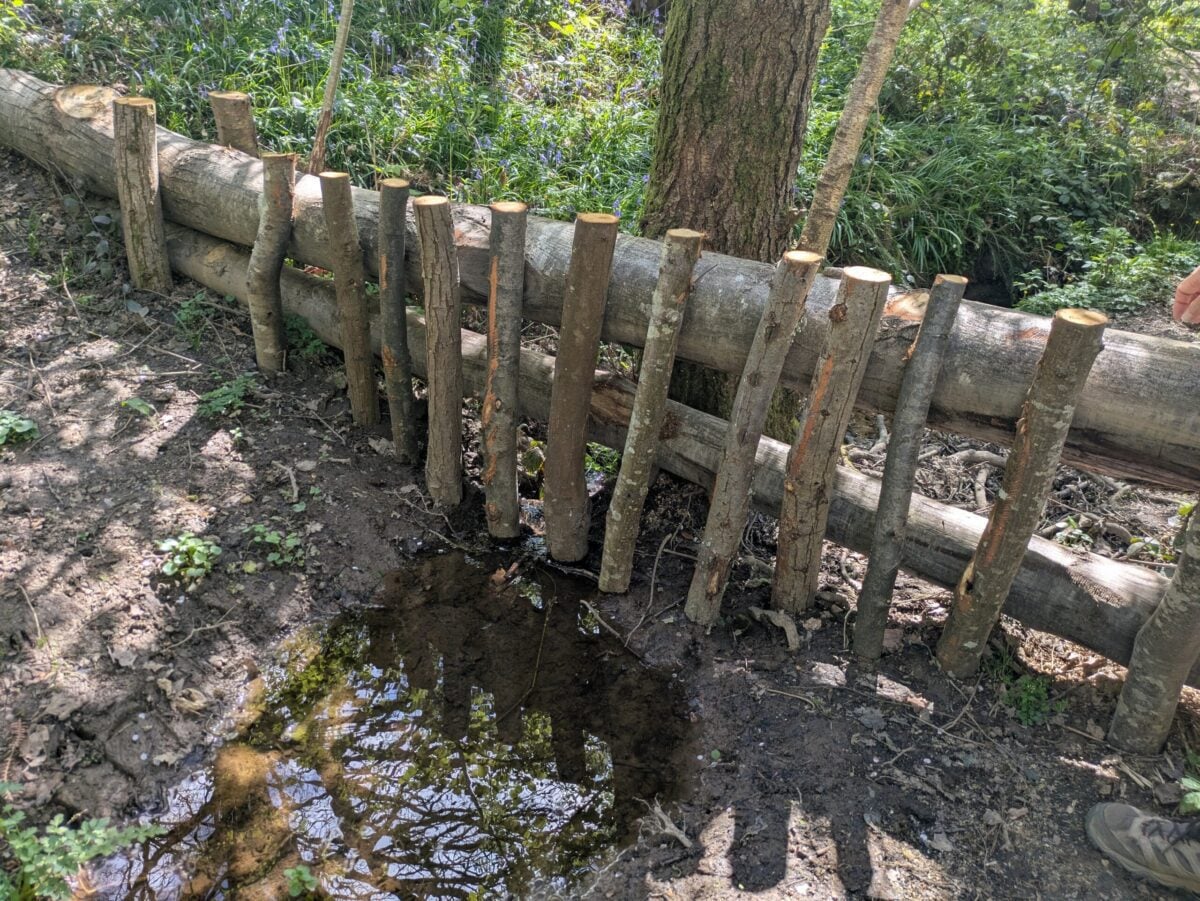 reserve Selwyns Wood leaky dam Emma Chaplin
