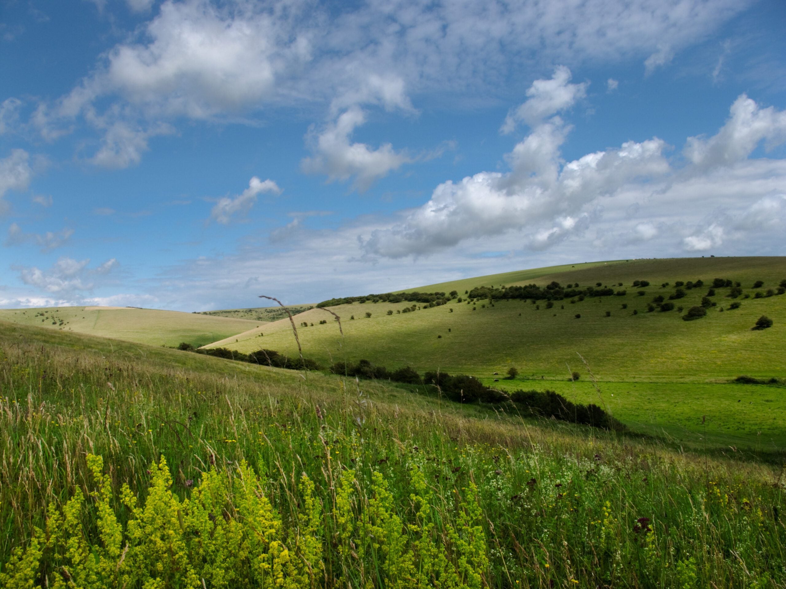 reserve Southerham Farm Lewes Downs Nigel Symington