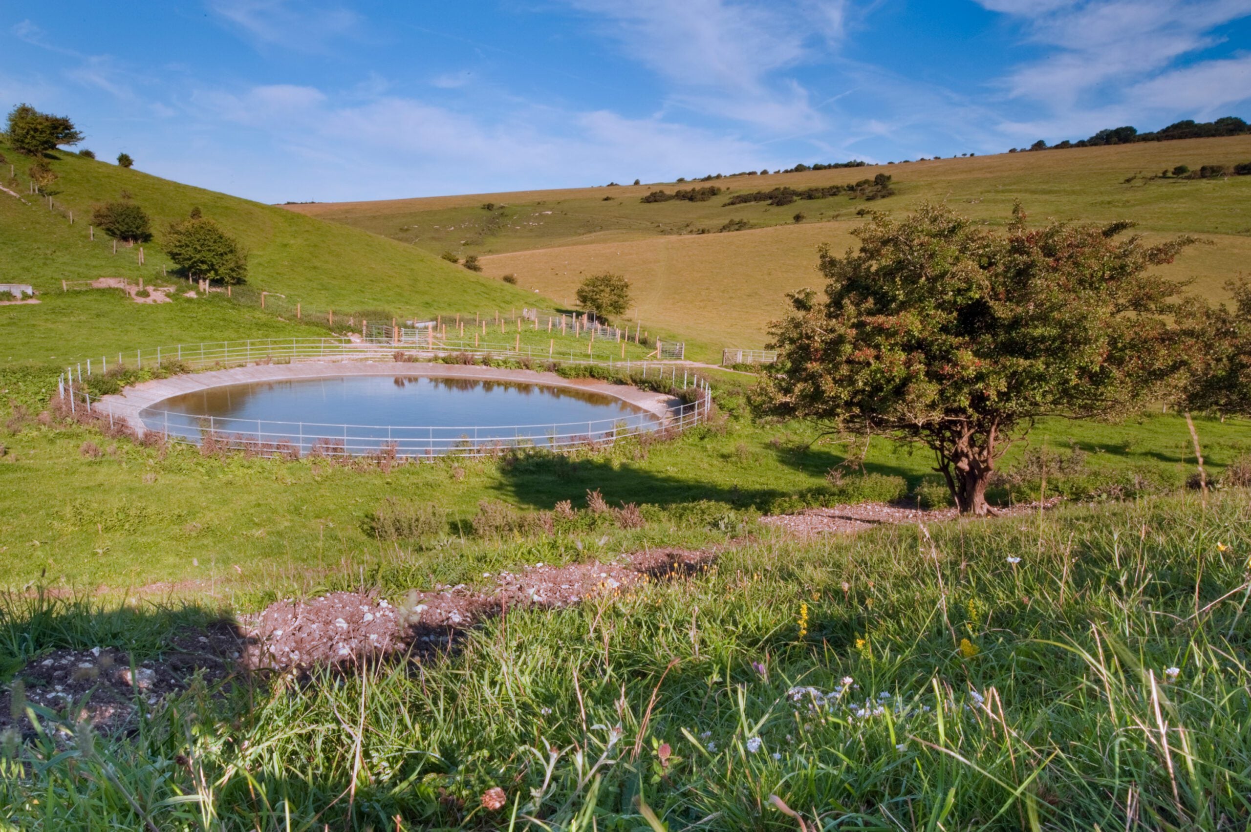 reserve Southerham dew pond Nigel Symington