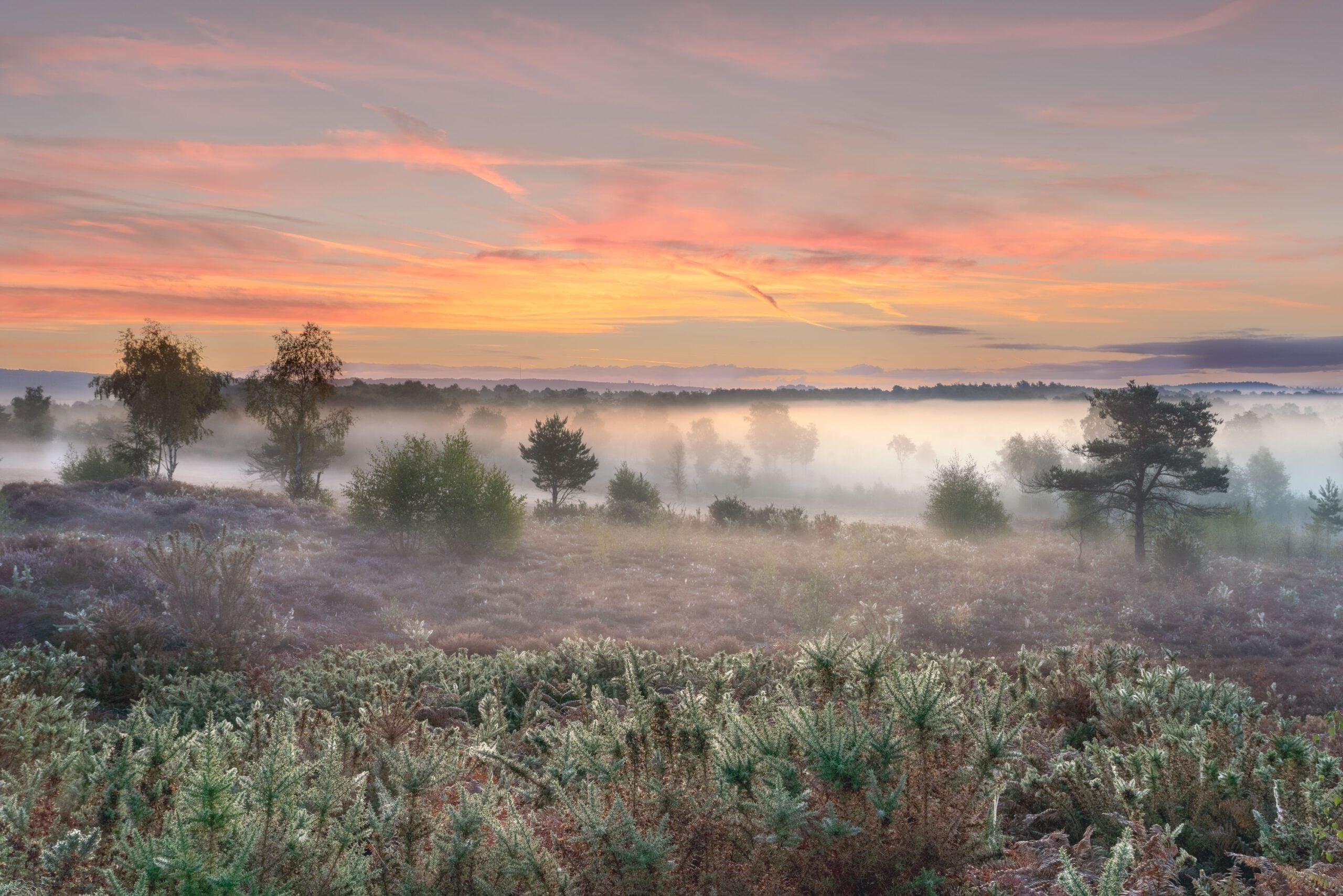 reserve Stedham sunrise lloyd lane 1