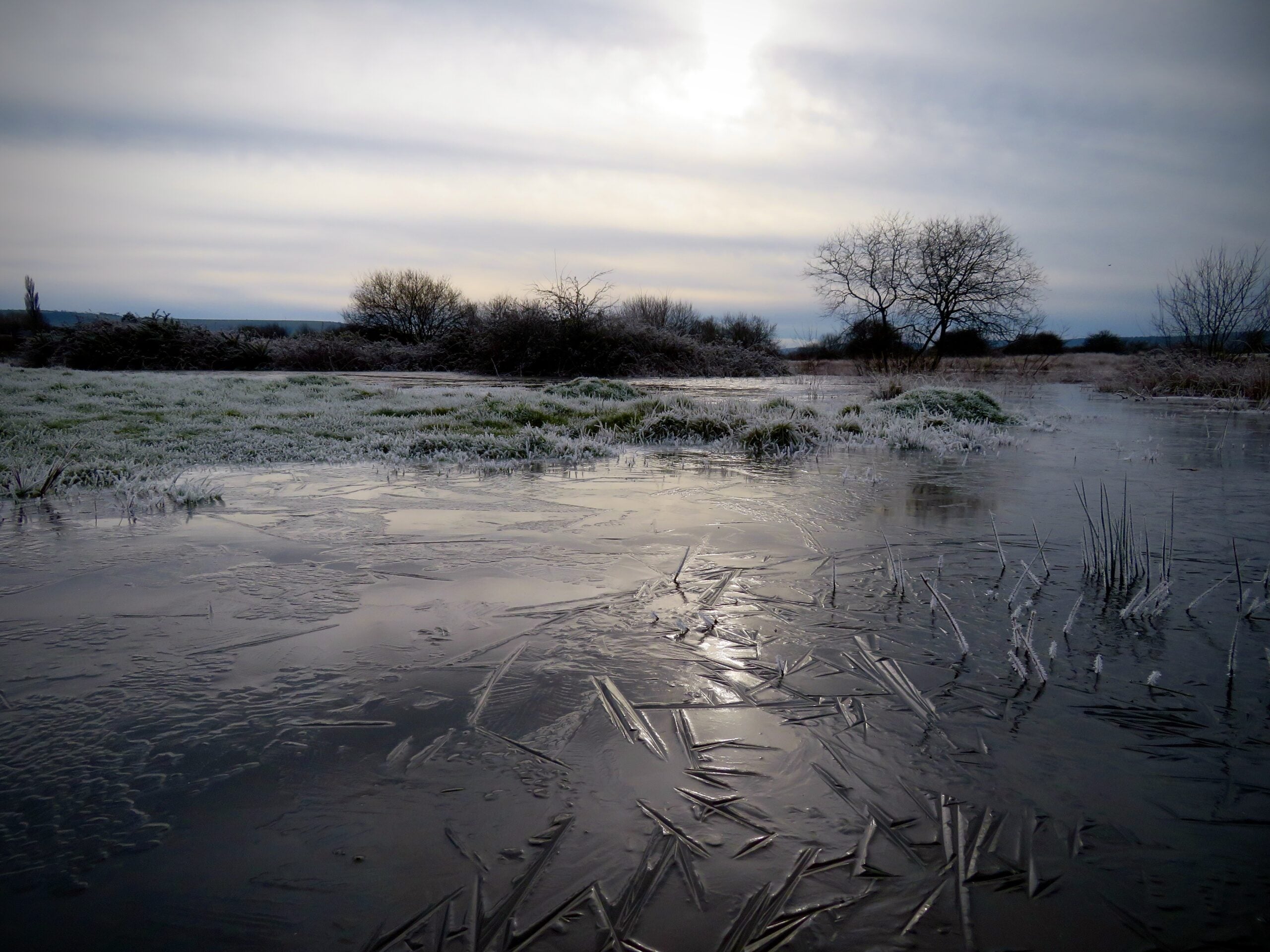 reserve Waltham Brooks winter ice Ryan Greaves