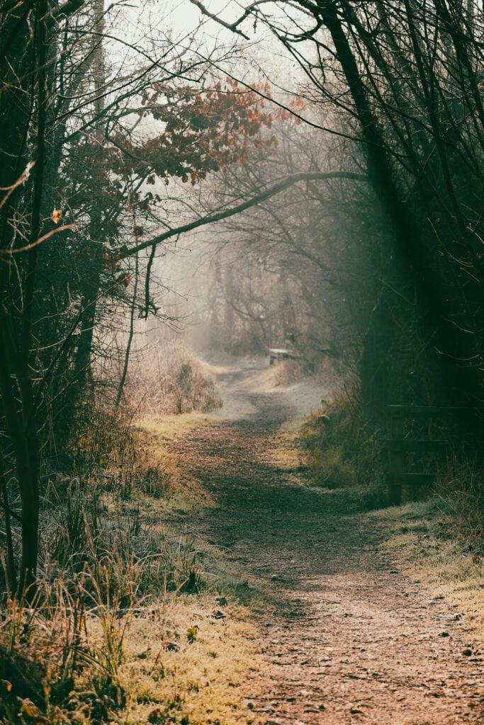 reserve Woods Mill misty Kai Hilton