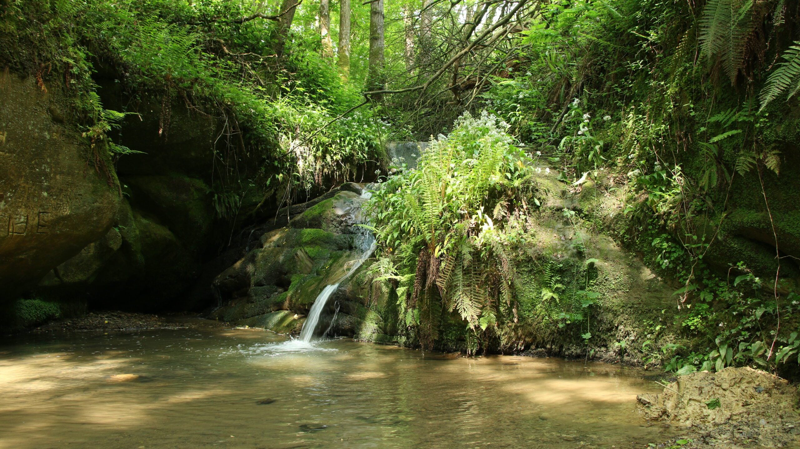 reserve marline valley ghyll stream