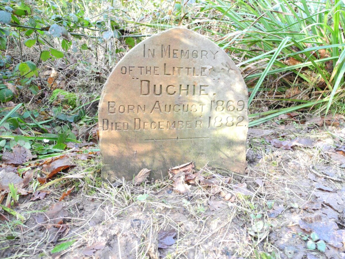 reserve marline valley pet rabbit gravestone Alice Parfitt