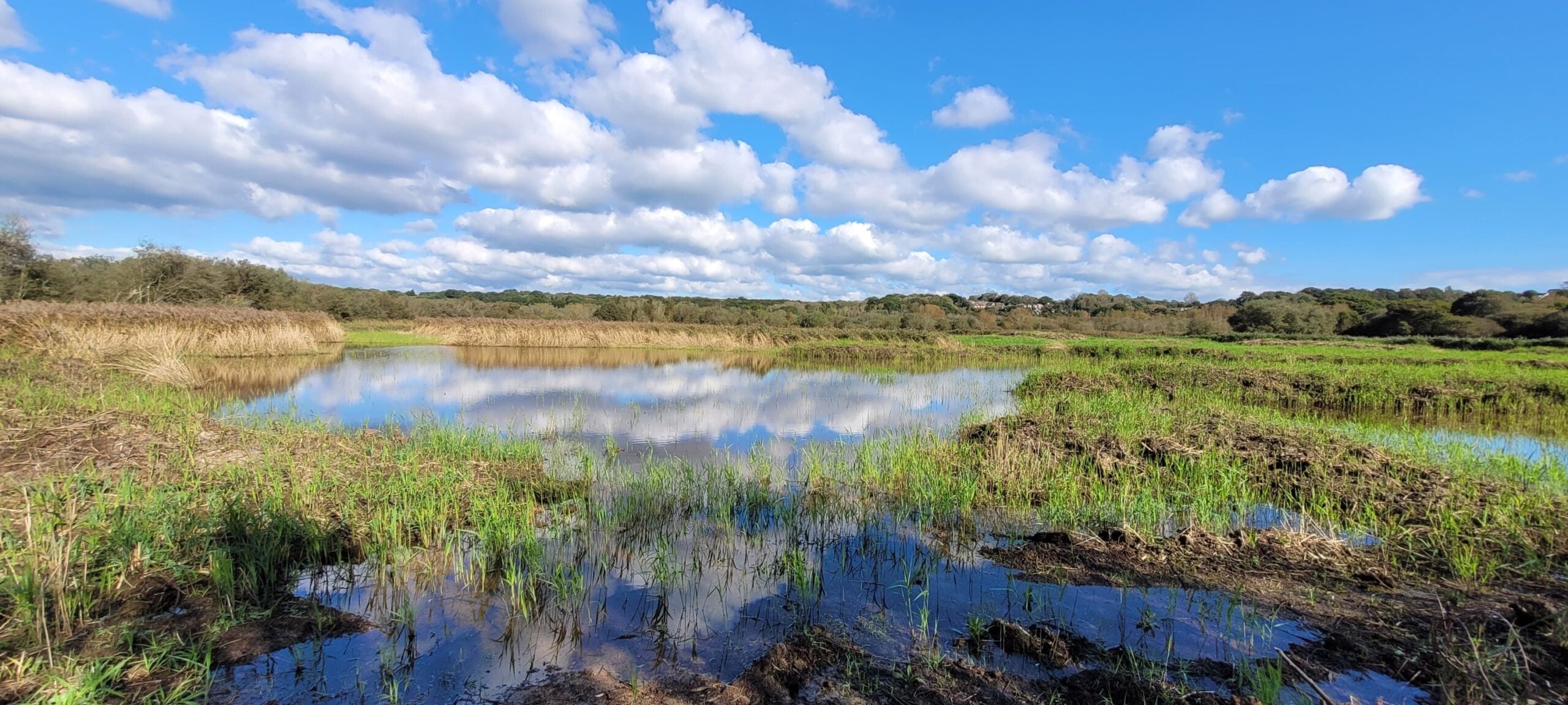 reserves filsham reedbed clouds reflected in water surrounding reeds Alex Worsley