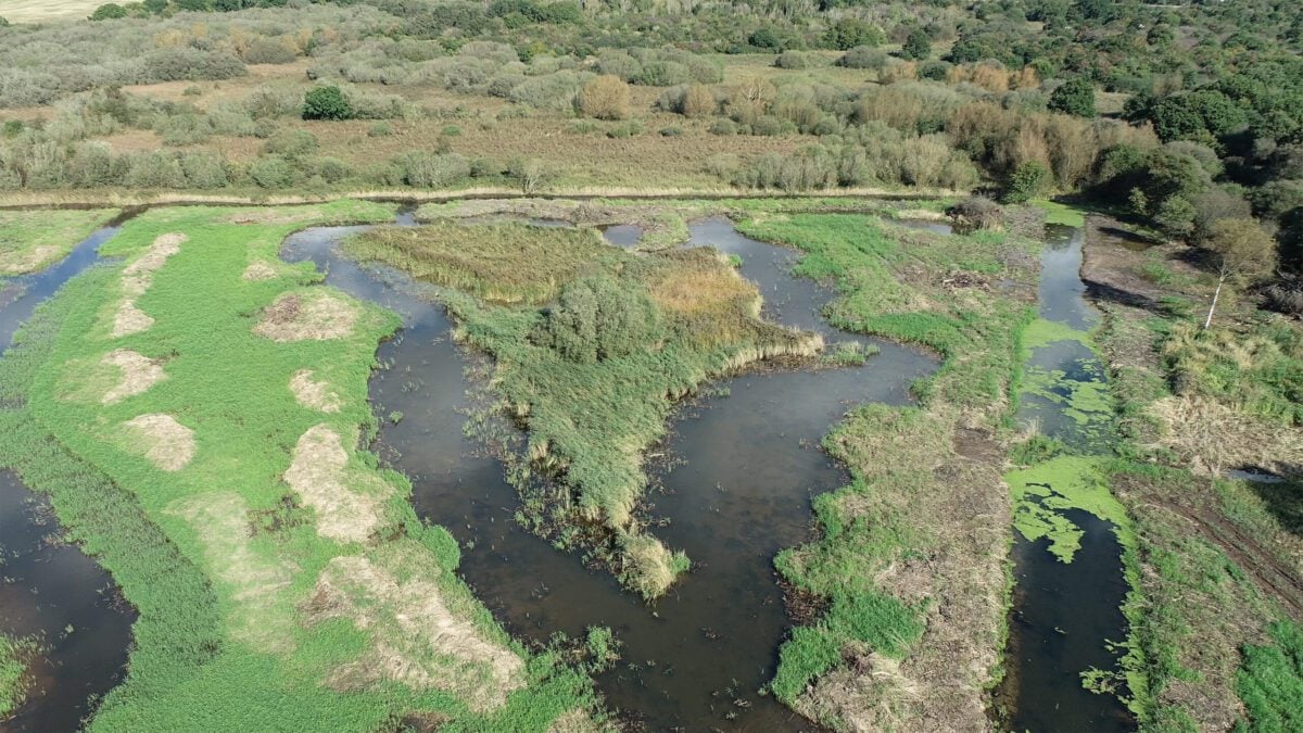 reserves filsham reedbed drone view alex worsely