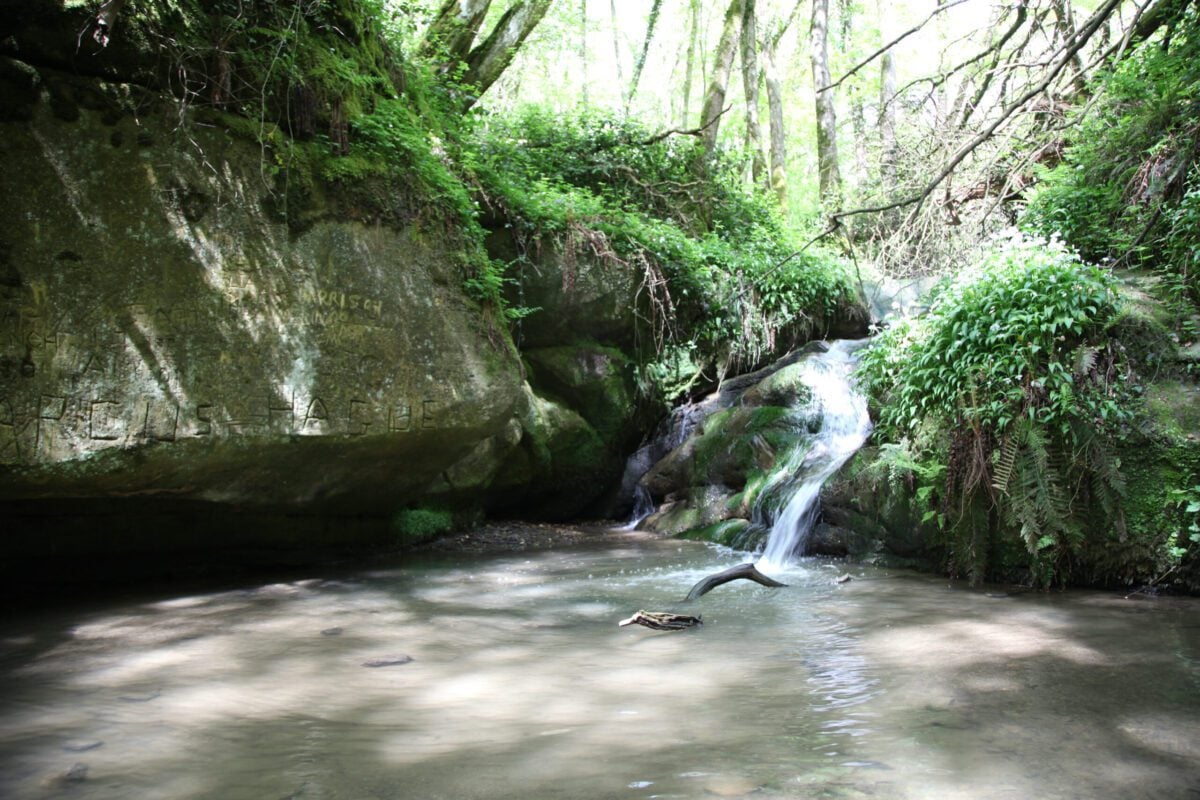 reserves marline valley ghyll stream in May Alex Rowson