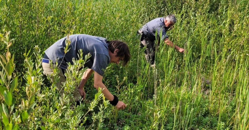 staff at survey at rhnr alex worsley