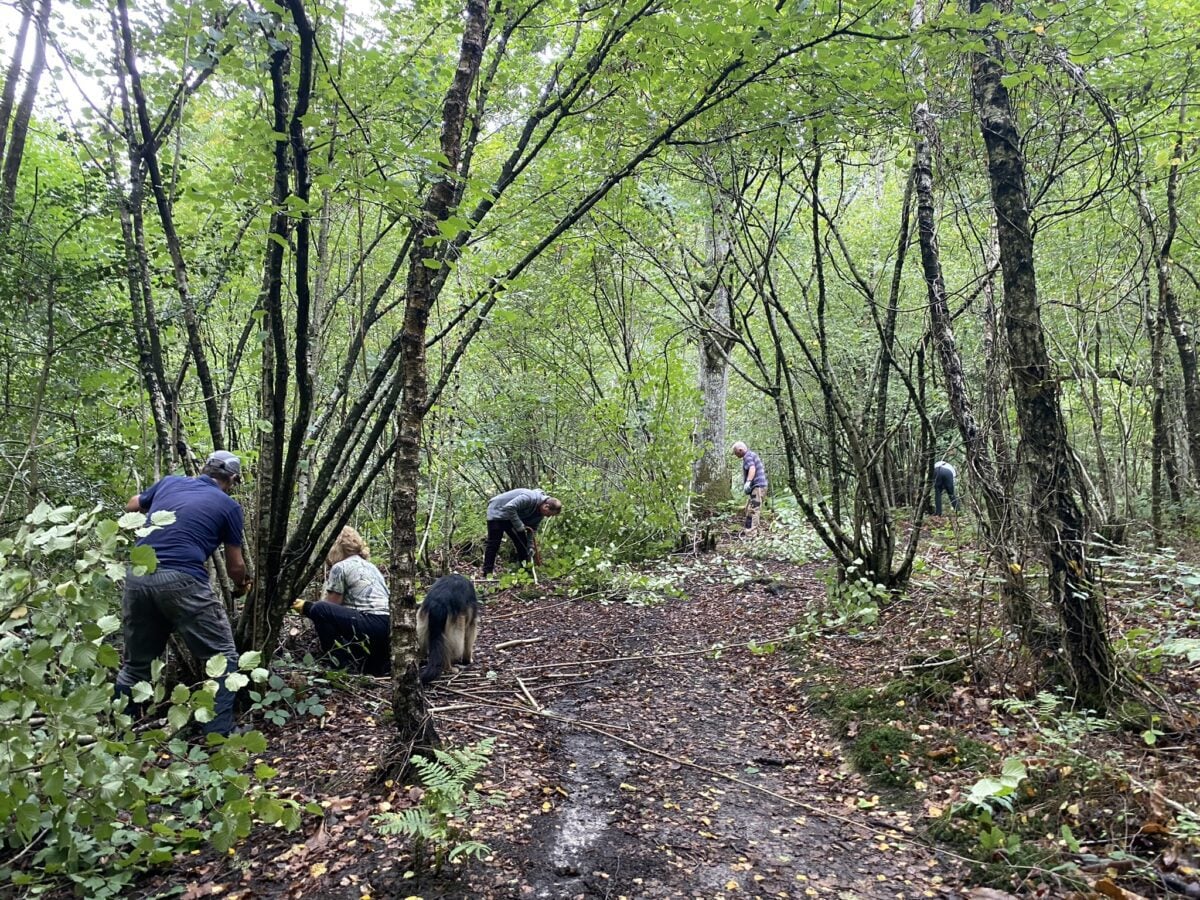 volunteers working at Flatropers